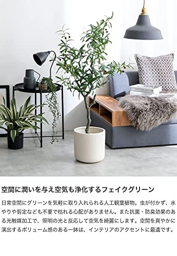 観葉植物 オリーブ フェイクグリーン 人工 室内 グリーン - 【公式】allecore(アレコレ) 家具インテリア・生活雑貨のオンライン通販