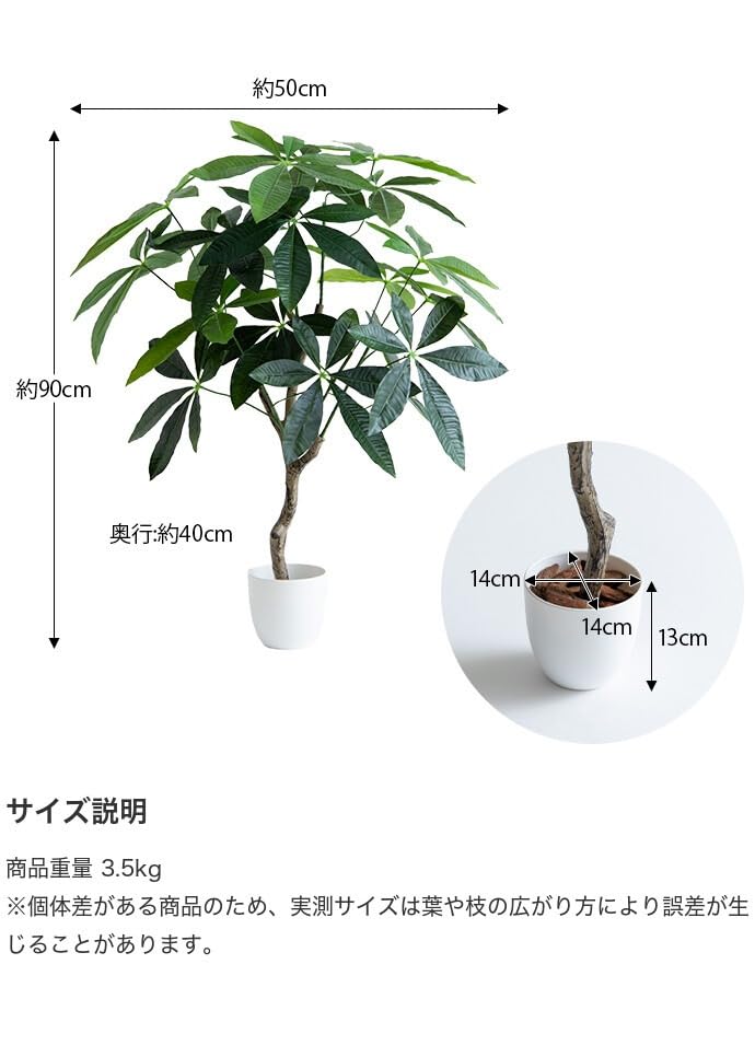 観葉植物 パキラ フェイクグリーン 人工 室内 グリーン - 【公式】allecore(アレコレ) 家具インテリア・生活雑貨のオンライン通販