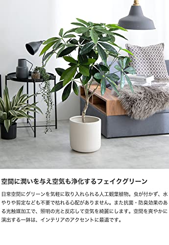 観葉植物 パキラ フェイクグリーン 人工 室内 グリーン - 【公式】allecore(アレコレ) 家具インテリア・生活雑貨のオンライン通販