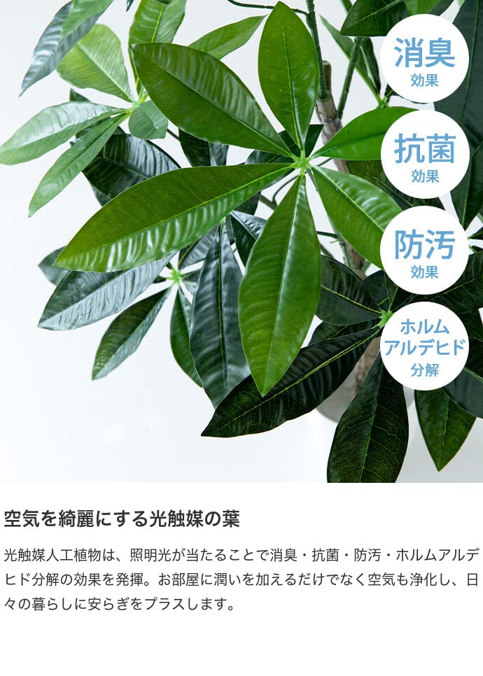 観葉植物 パキラ フェイクグリーン 人工 室内 グリーン - 【公式】allecore(アレコレ) 家具インテリア・生活雑貨のオンライン通販