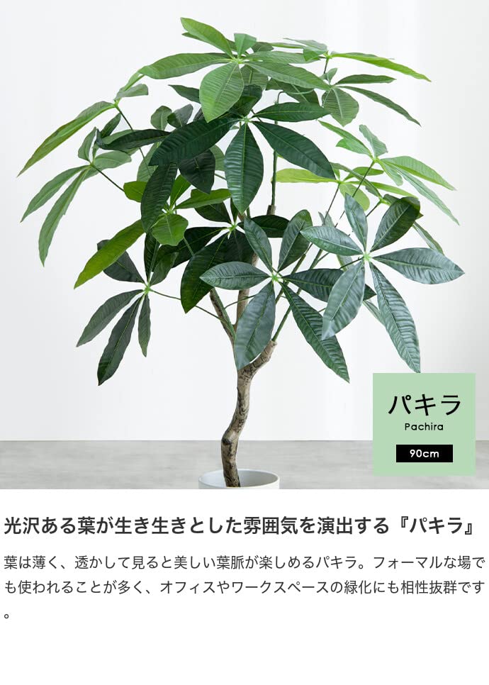 観葉植物 パキラ フェイクグリーン 人工 室内 グリーン - 【公式】allecore(アレコレ) 家具インテリア・生活雑貨のオンライン通販