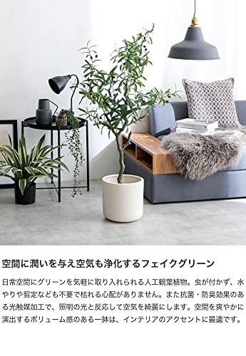 観葉植物 オリーブ フェイクグリーン 人工 室内 グリーン