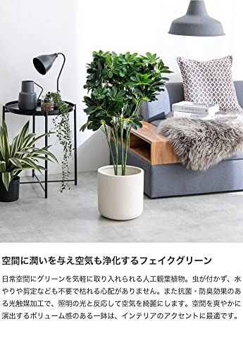 【当店限定ポイント最大15倍!お買い物マラソン期間】観葉植物 カポック シェフレラ フェイクグリーン グリーン - 【公式】allecore(アレコレ) 家具インテリア・生活雑貨のオンライン通販