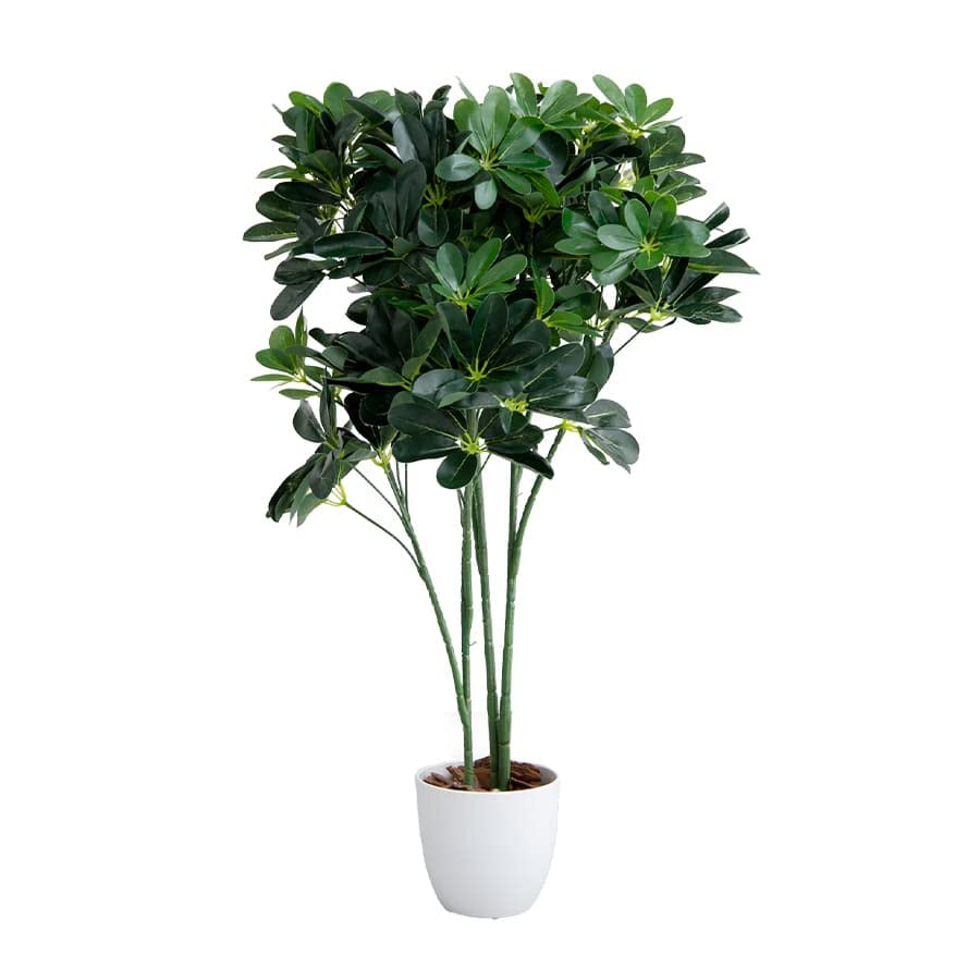 【当店限定ポイント最大15倍!お買い物マラソン期間】観葉植物 カポック シェフレラ フェイクグリーン グリーン - 【公式】allecore(アレコレ) 家具インテリア・生活雑貨のオンライン通販