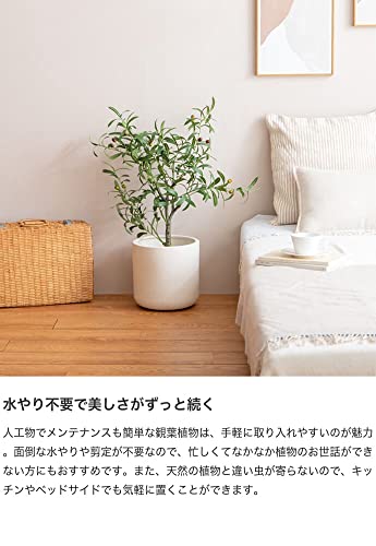 【当店限定ポイント最大15倍!お買い物マラソン期間】観葉植物 カポック シェフレラ フェイクグリーン グリーン - 【公式】allecore(アレコレ) 家具インテリア・生活雑貨のオンライン通販