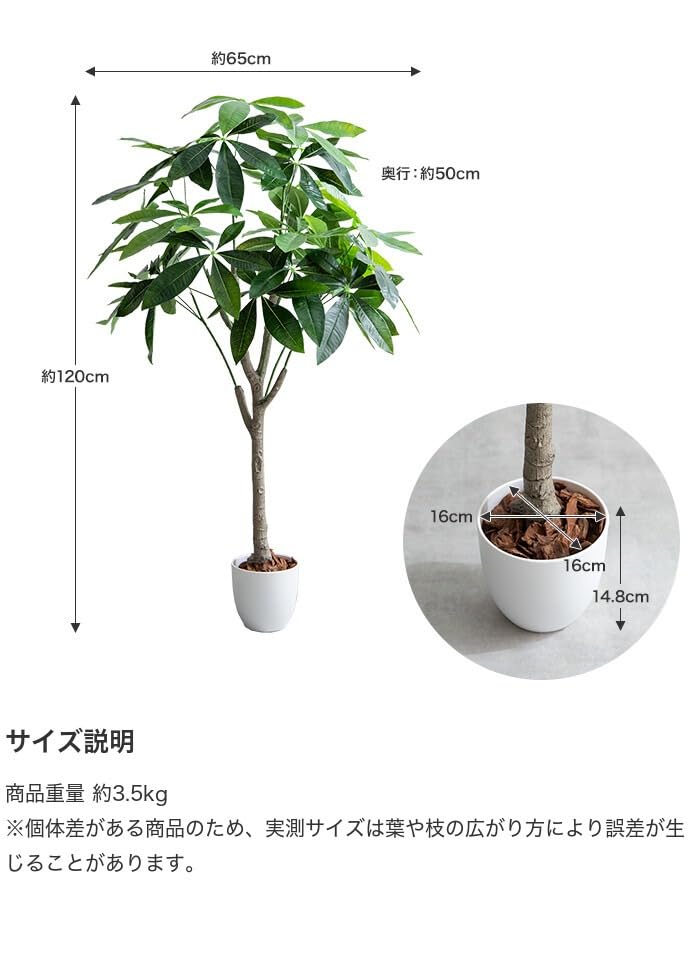 観葉植物 パキラ フェイクグリーン 人工 室内 グリーン - 【公式】allecore(アレコレ) 家具インテリア・生活雑貨のオンライン通販