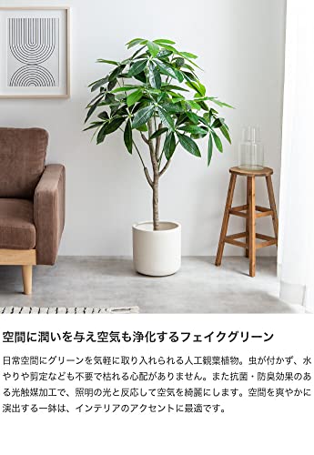 観葉植物 パキラ フェイクグリーン 人工 室内 グリーン - 【公式】allecore(アレコレ) 家具インテリア・生活雑貨のオンライン通販