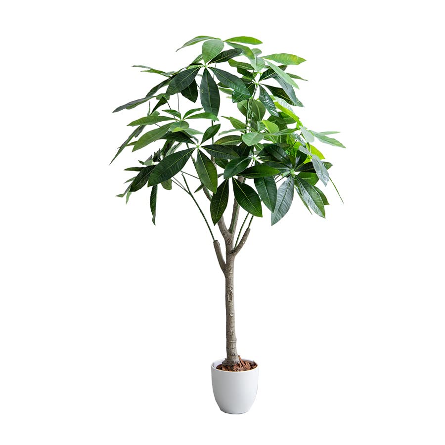 観葉植物 パキラ フェイクグリーン 人工 室内 グリーン - 【公式】allecore(アレコレ) 家具インテリア・生活雑貨のオンライン通販