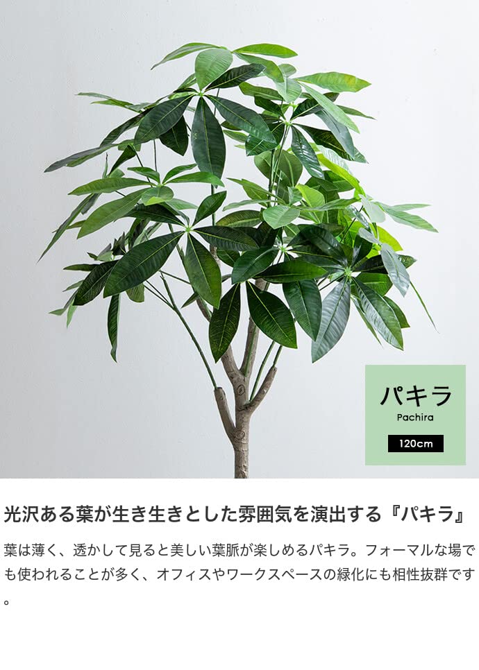 観葉植物 パキラ フェイクグリーン 人工 室内 グリーン - 【公式】allecore(アレコレ) 家具インテリア・生活雑貨のオンライン通販