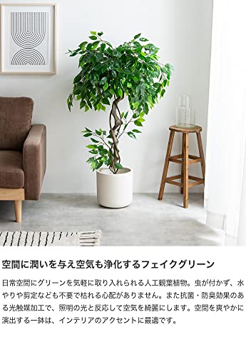 観葉植物 ベンジャミン フェイクグリーン 人工 室内 グリーン