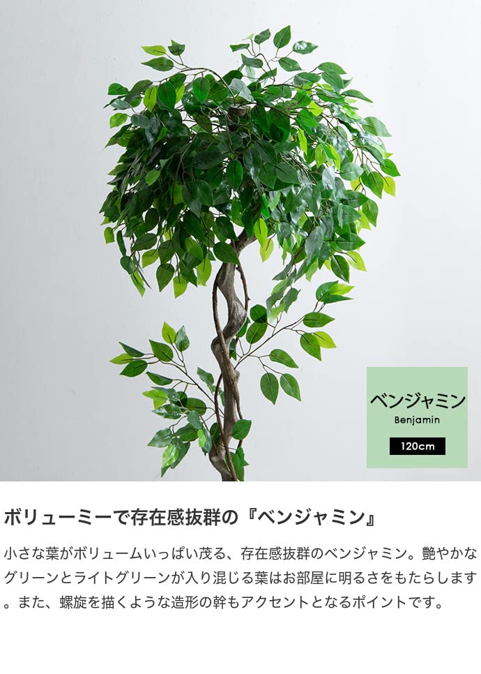 観葉植物 ベンジャミン フェイクグリーン 人工 室内 グリーン