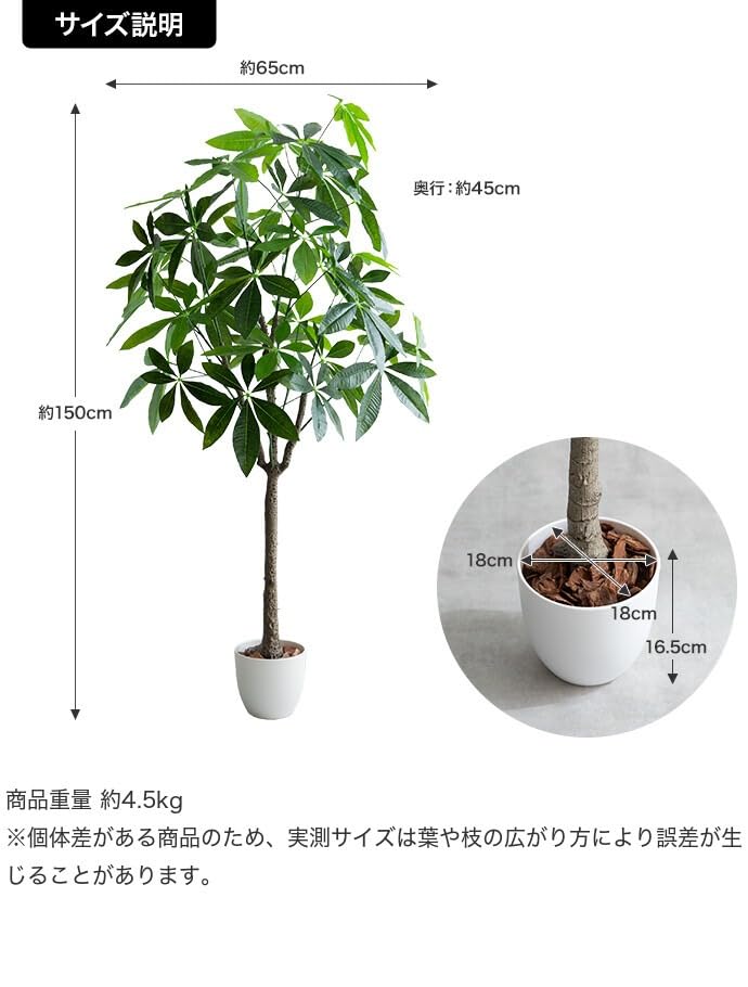 観葉植物 パキラ フェイクグリーン 人工 室内 グリーン - 【公式】allecore(アレコレ) 家具インテリア・生活雑貨のオンライン通販