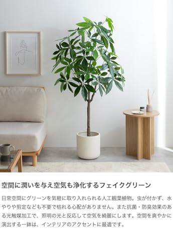 観葉植物 パキラ フェイクグリーン 人工 室内 グリーン - 【公式】allecore(アレコレ) 家具インテリア・生活雑貨のオンライン通販
