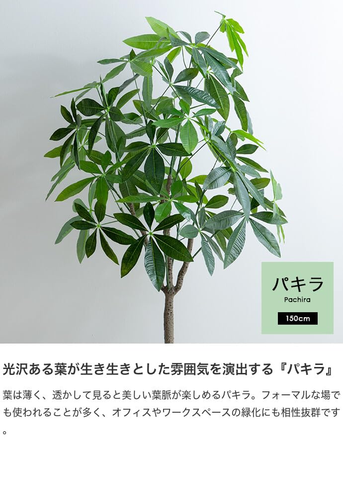 観葉植物 パキラ フェイクグリーン 人工 室内 グリーン - 【公式】allecore(アレコレ) 家具インテリア・生活雑貨のオンライン通販