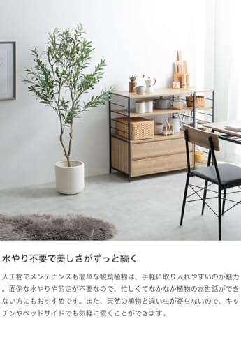 観葉植物 パキラ フェイクグリーン 人工 室内 グリーン - 【公式】allecore(アレコレ) 家具インテリア・生活雑貨のオンライン通販