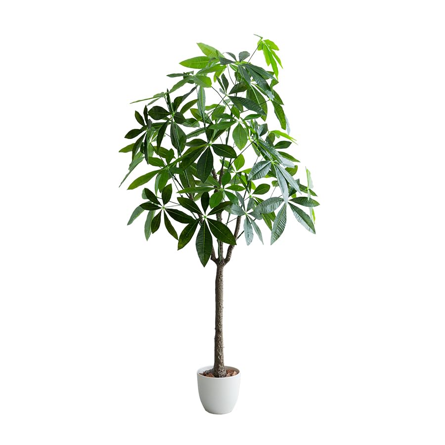 観葉植物 パキラ フェイクグリーン 人工 室内 グリーン - 【公式】allecore(アレコレ) 家具インテリア・生活雑貨のオンライン通販