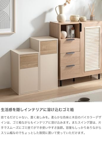 ゴミ箱 45L リットル l 分別 おしゃれ グレージュ