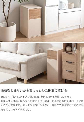 ゴミ箱 45L リットル l 分別 おしゃれ グレージュ