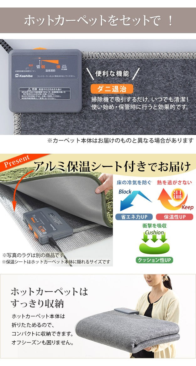 ホットカーペット カバー 木目調ホットカーペットカバー 1畳用 200x98 ホットカーペット本体 2点セット 防水