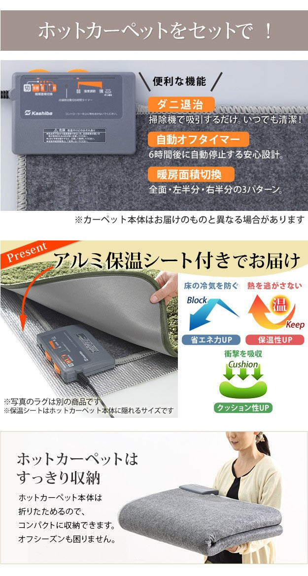 ホットカーペット カバー 木目調ホットカーペットカバー 3畳用 250x198 ホットカーペット本体 2点セット 防水