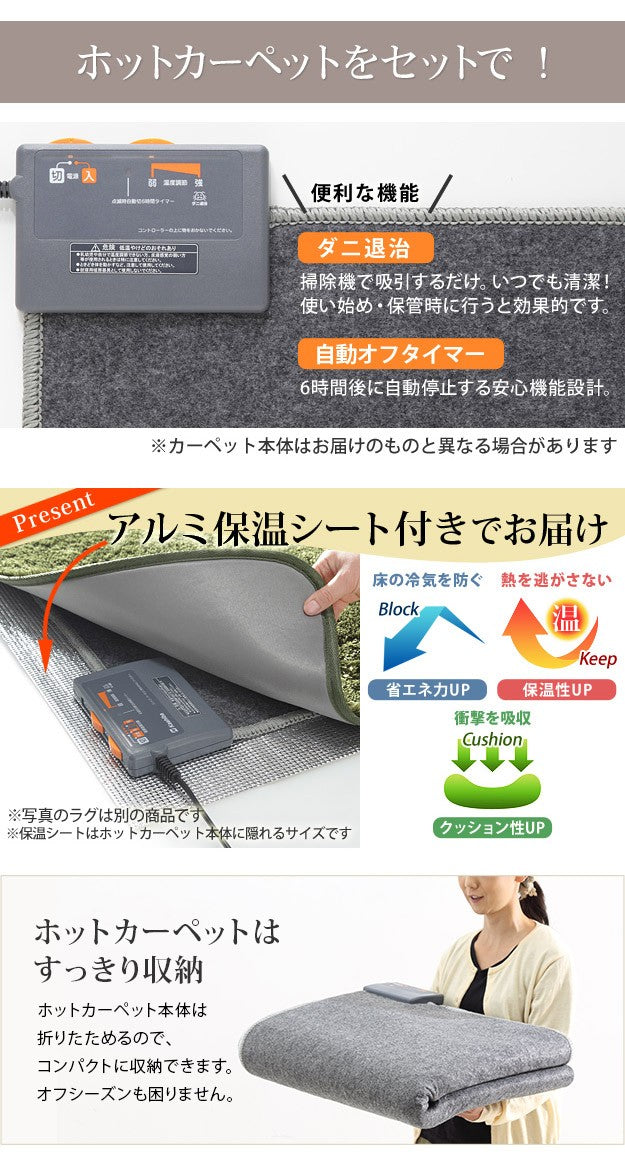 ホットカーペット カバー 木目調ホットカーペットカバー 1.5畳用 198x140 ホットカーペット本体 2点セット 防水