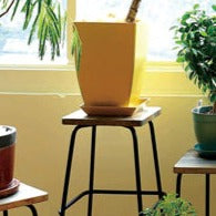 プランタースツール 観葉植物 幅330mm×奥行325mm×高さ600mm