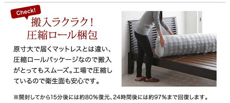 棚・コンセント付き収納ベッド General ジェネラル スタンダードボンネルコイルマットレス付き セミダブル 送料無料