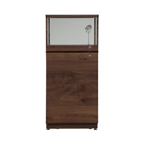 コレクションラック コレクションケース ハイタイプ 幅55×奥行50×高さ123cm