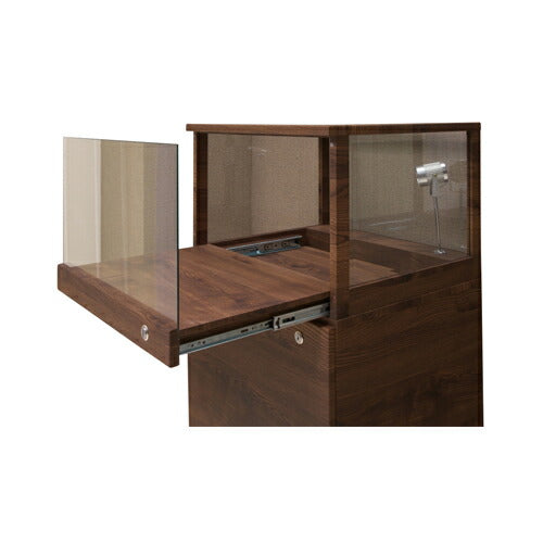 コレクションラック コレクションケース ハイタイプ 幅55×奥行50×高さ123cm