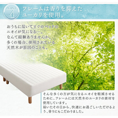 組立設置付き ベーシック脚付きマットレスベッド 国産ポケットコイルマットレス クイーン 脚15cm 送料無料