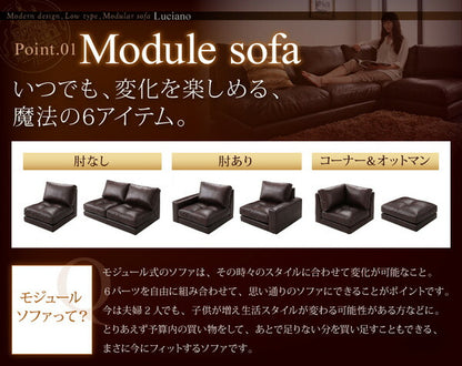 【新商品】モジュールローソファ Luciano ルチアーノ ソファ 右肘付き 1P 送料無料