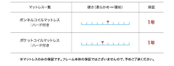 組立設置付 国産跳上げ収納ベッド Clory Short クローリーショート 薄型スタンダードポケットコイルマットレス付き 横開き セミシングル ショート丈 深さラージ