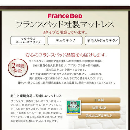 【新商品】組立設置付き モダンデザインフロアベッド Starden スターデン マルチラススーパースプリングマットレス付き シングル 送料無料