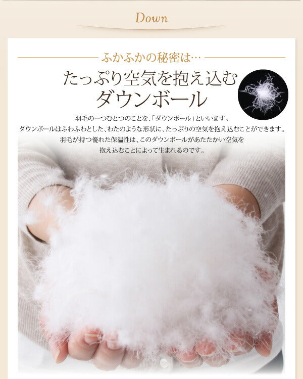 【新商品】9色から選べる 羽毛布団 8点セット グース ベッドタイプ キング10点セット 送料無料