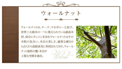 【新商品】組立設置付き 天然木ウォールナット　モダンデザイン　ダイニングセット【Pavane】パヴァーヌ/5点セット(テーブル＋チェア×4) 送料無料