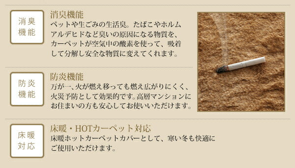 防ダニ・消臭・防炎・抗アレルギー機能付きフェイクファーラグ Rojye ロジェ 直径100cm(サークル) 送料無料