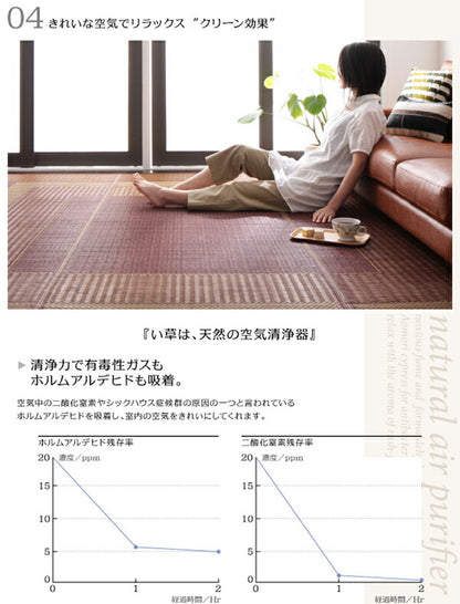 純国産モダンデザイン涼感い草ラグ Lyma ライマ 不織布あり 191×300cm 送料無料
