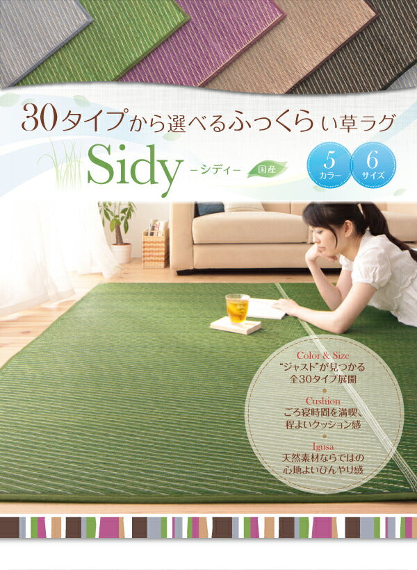 30タイプから選べる国産ふっくらい草ラグ Sidy シディ 140×200cm 送料無料