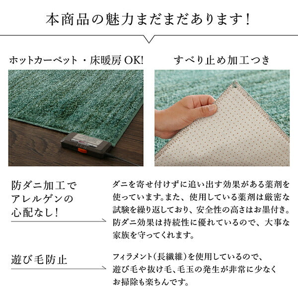グラデーションミックスシャギーラグ rayures レイユール 直径200cm(サークル) 送料無料