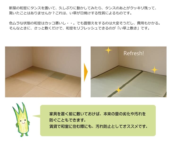 純国産 い草 上敷き カーペット 双目織 『草津』 江戸間3畳(約176×261cm） 送料無料