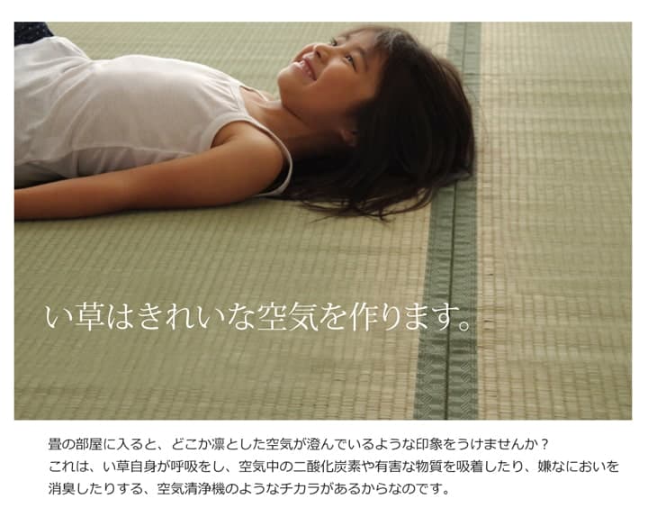 純国産 い草 上敷き カーペット 双目織 『草津』 江戸間8畳(約352×352cm） 送料無料