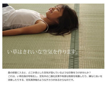 純国産 い草 上敷き カーペット 双目織 『草津』 江戸間4.5畳(約261×261cm） 送料無料