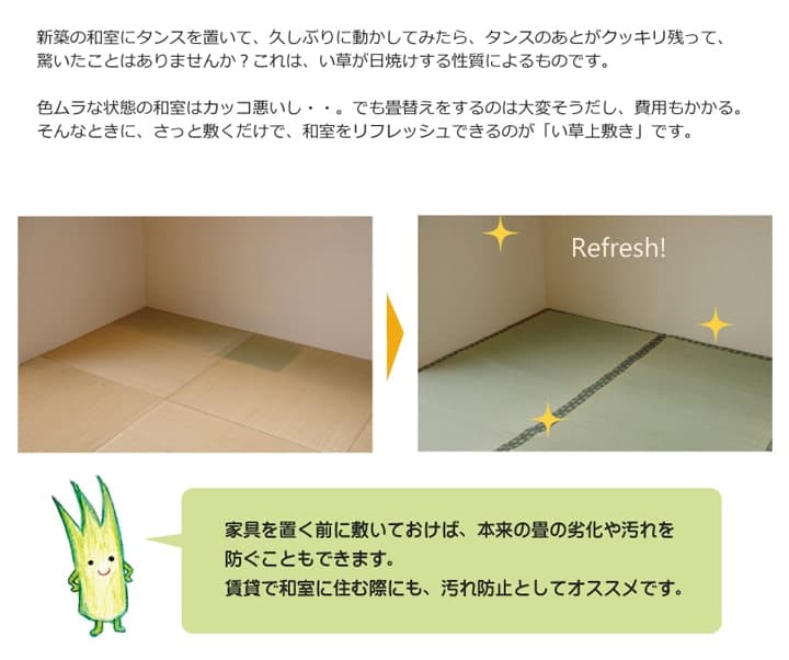 純国産 い草 上敷き カーペット 双目織 『松』 本間4.5畳(約286×286cm） 送料無料