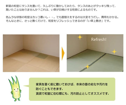 純国産 い草 上敷き カーペット 双目織 『松』 本間6畳(約286×382cm） 送料無料