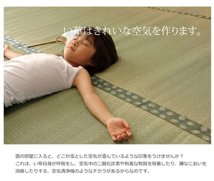 純国産 い草 上敷き カーペット 双目織 『松』 本間3畳(約191×286cm） 送料無料