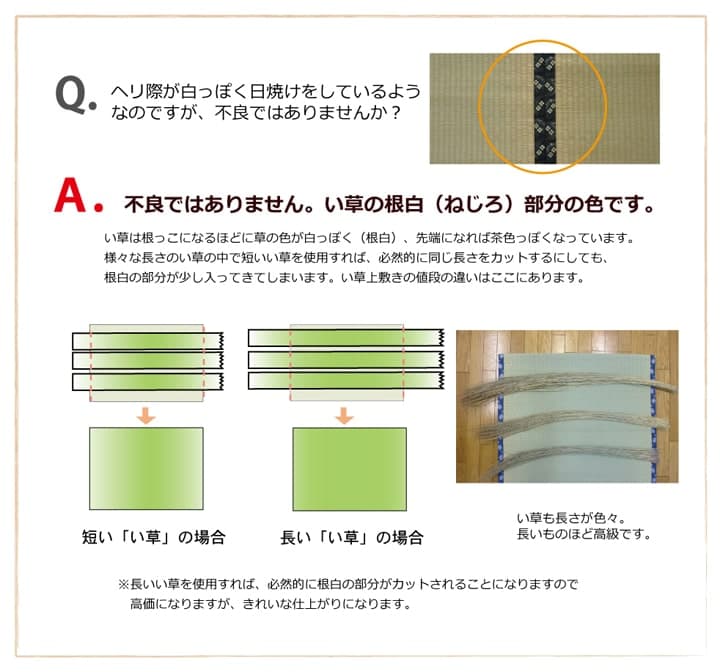純国産 い草 上敷き カーペット 双目織 『ほほえみ』 本間6畳(約286×382cm） 送料無料