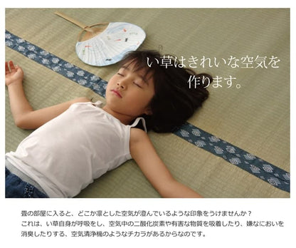 純国産 い草 上敷き カーペット 双目織 『ほほえみ』 本間6畳(約286×382cm） 送料無料