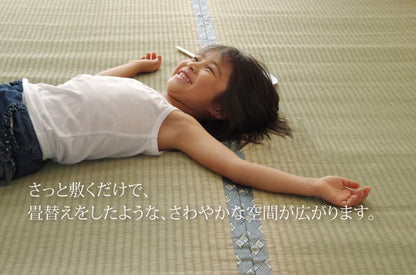 純国産 い草 上敷き カーペット 糸引織 『湯沢』 団地間2畳(約170×170cm） 送料無料