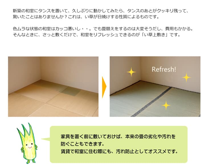 純国産 い草 上敷き カーペット 糸引織 『湯沢』 三六間2畳(約182×182cm） 送料無料