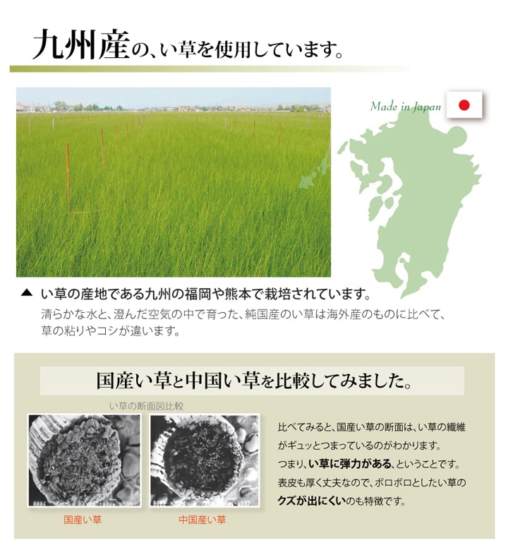 純国産 い草 上敷き カーペット 糸引織 『柿田川』 江戸間6畳(約261×352cm） 送料無料